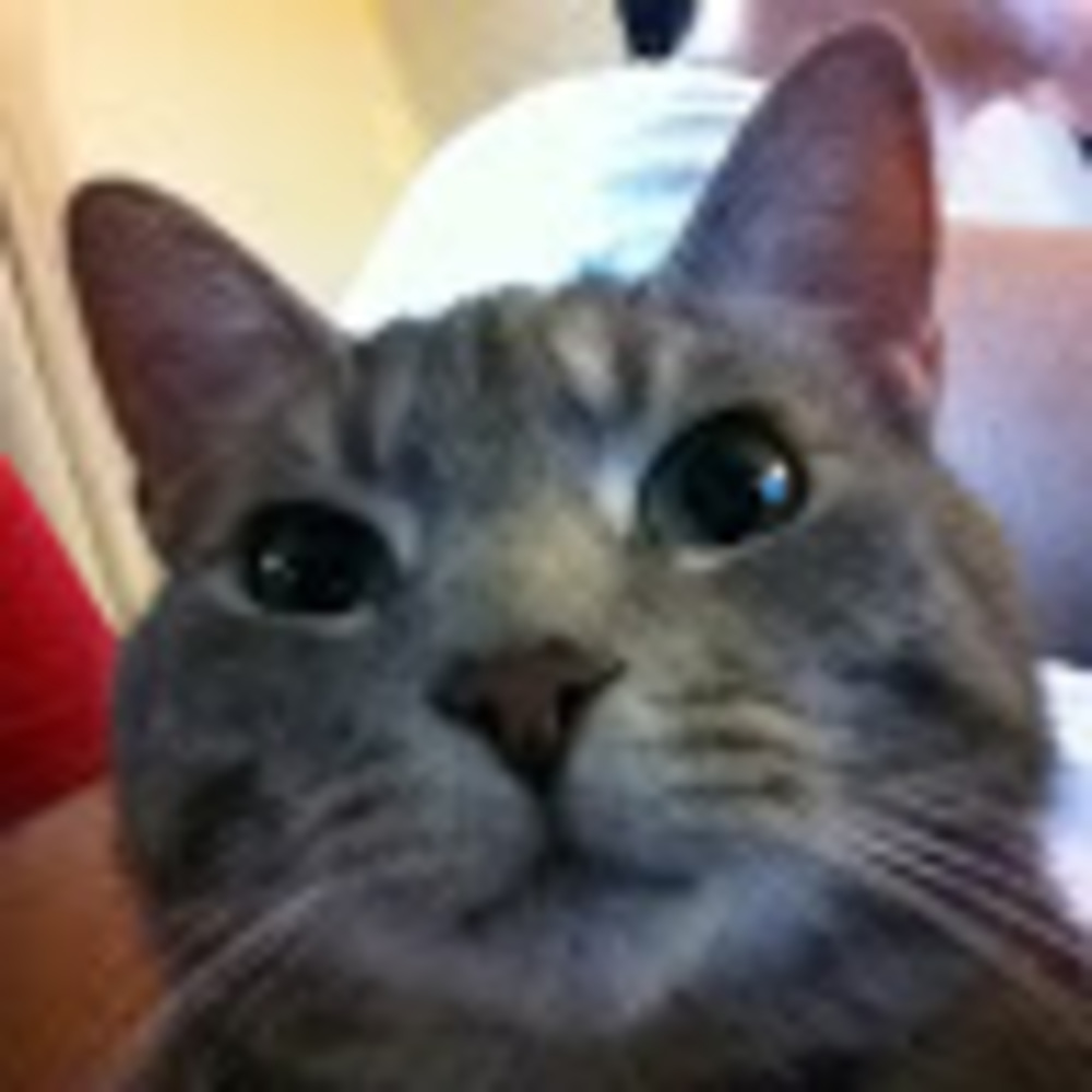 Meet your Posher, Lynn